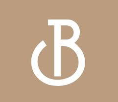 Big Mattress Co. logo